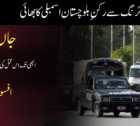 فائرنگ سے رکنِ بلوچستان اسمبلی کا بھائی جاں بحق