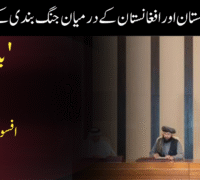 قطر نے پاکستان اور افغانستان کے درمیان جنگ بندی کے بیان سے “سرحد” کا لفظ ہٹا دی