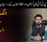 پی ٹی آئی کا پاکستان اور افغانستان کے درمیان جنگ بندی معاہدے کا خیرمقدم
