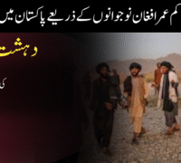 کم عمر افغان نوجوانوں کے ذریعے پاکستان میں دہشت گردی کی سازش بے نقاب