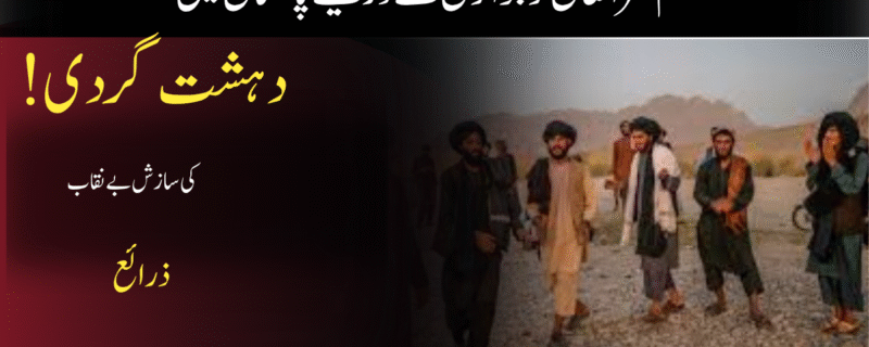 کم عمر افغان نوجوانوں کے ذریعے پاکستان میں دہشت گردی کی سازش بے نقاب